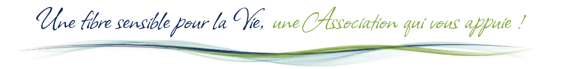Bannière principale
