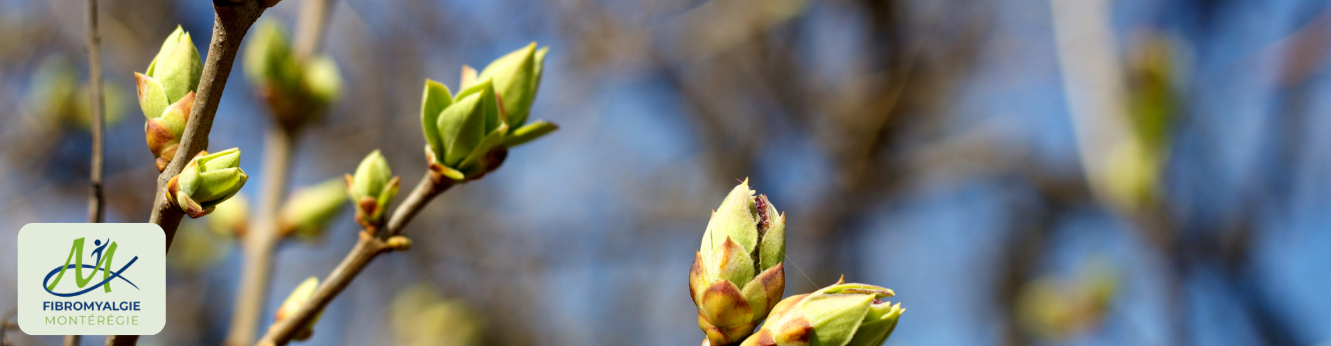 PROGRAMMATION - PRINTEMPS 2026