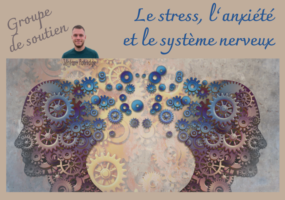 Groupe de soutien - Le stress, l’anxiété et le système nerveux