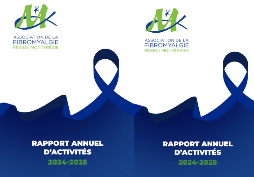RAPPORT ANNUEL 2024-2025