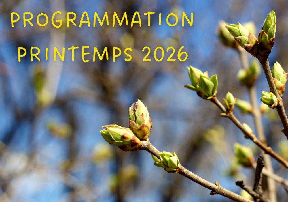 Programmation Printemps 2026
